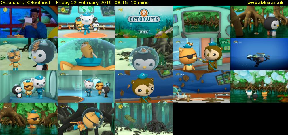 Octonauts (CBeebies) Friday 22 February 2019 08:15 - 08:25