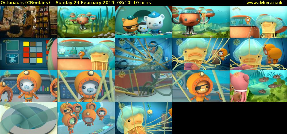 Octonauts (CBeebies) Sunday 24 February 2019 08:10 - 08:20