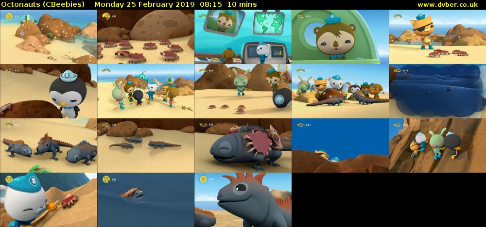 Octonauts (CBeebies) Monday 25 February 2019 08:15 - 08:25