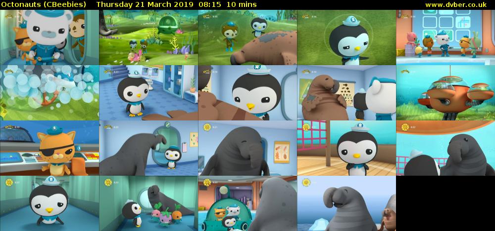 Octonauts (CBeebies) Thursday 21 March 2019 08:15 - 08:25