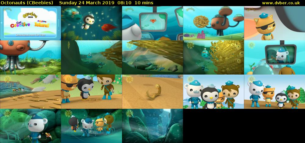 Octonauts (CBeebies) Sunday 24 March 2019 08:10 - 08:20