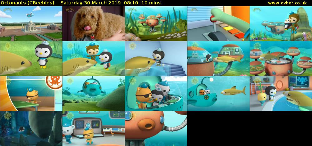 Octonauts (CBeebies) Saturday 30 March 2019 08:10 - 08:20
