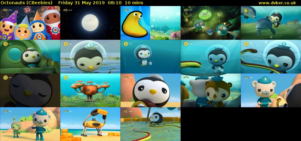 Octonauts (CBeebies) Friday 31 May 2019 08:10 - 08:20