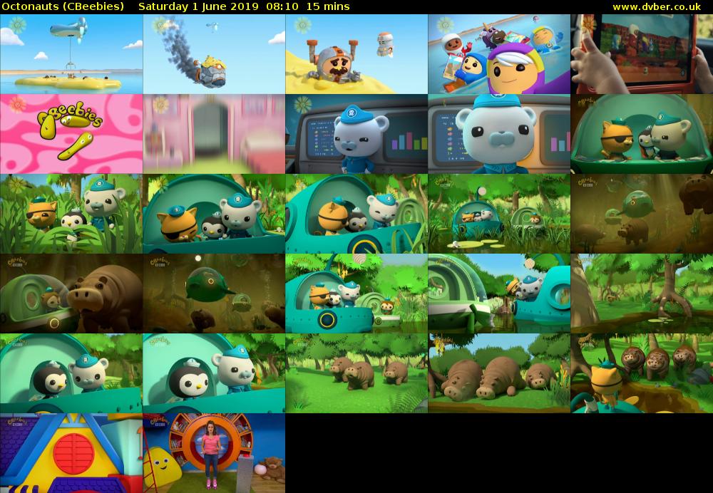 Octonauts (CBeebies) Saturday 1 June 2019 08:10 - 08:25