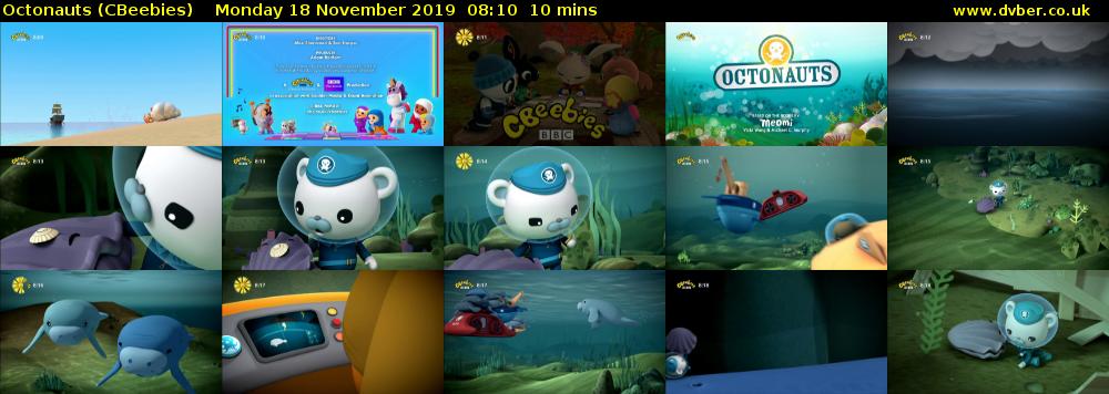 Octonauts (CBeebies) Monday 18 November 2019 08:10 - 08:20
