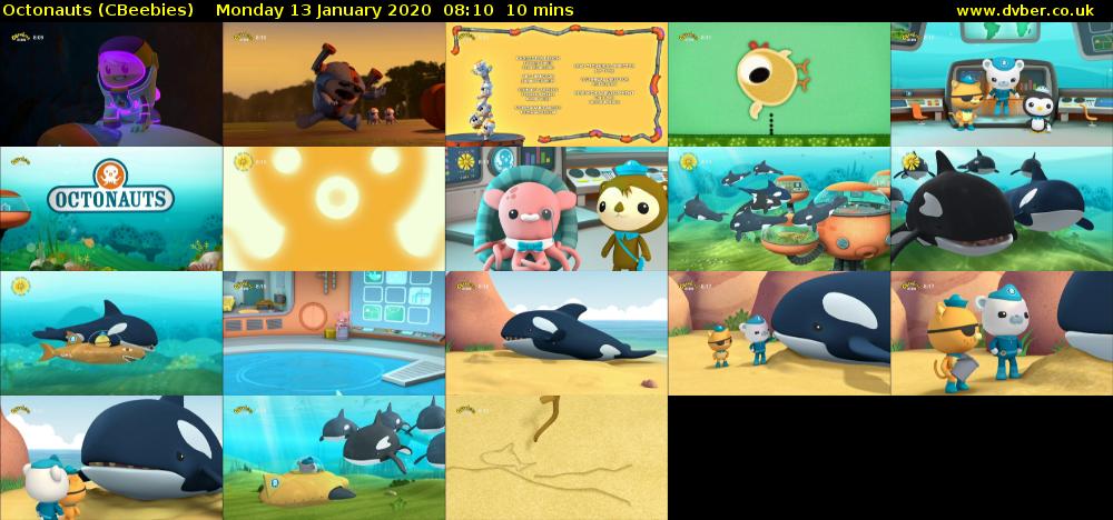 Octonauts (CBeebies) Monday 13 January 2020 08:10 - 08:20