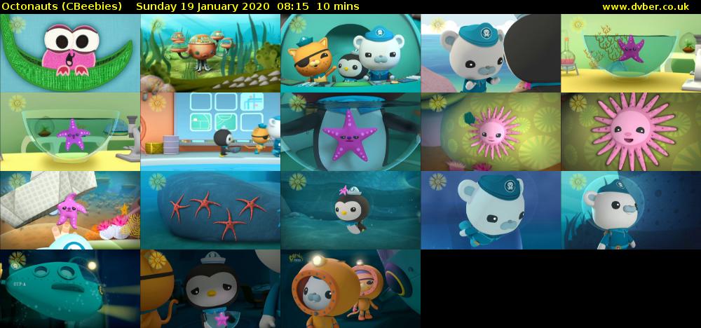 Octonauts (CBeebies) Sunday 19 January 2020 08:15 - 08:25