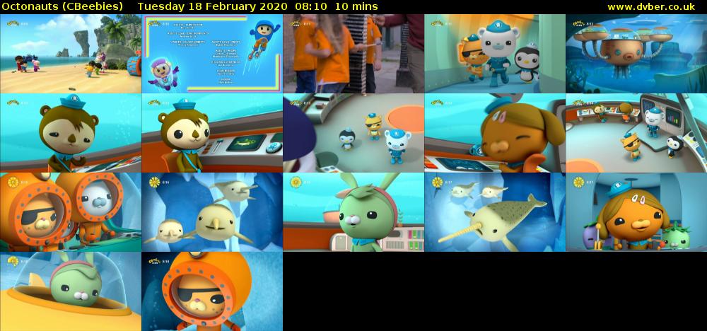 Octonauts (CBeebies) Tuesday 18 February 2020 08:10 - 08:20
