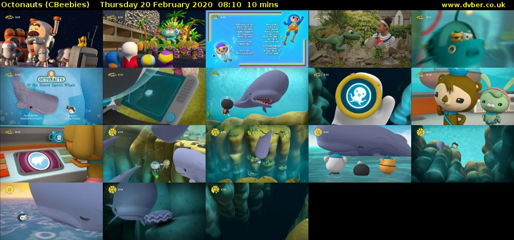 Octonauts (CBeebies) Thursday 20 February 2020 08:10 - 08:20