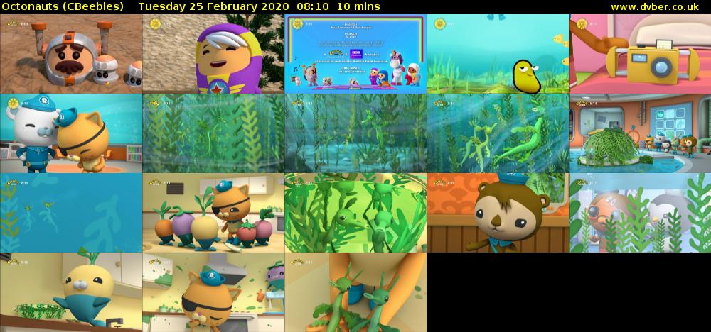 Octonauts (CBeebies) Tuesday 25 February 2020 08:10 - 08:20