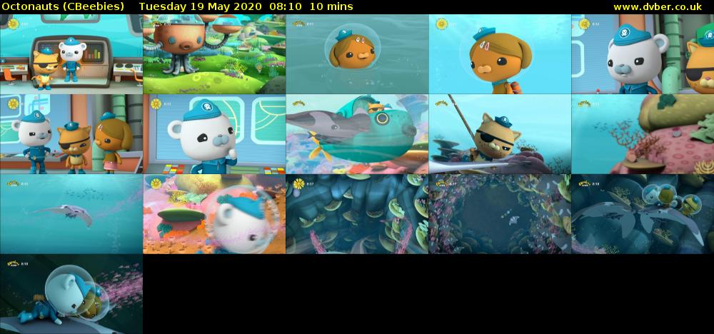 Octonauts (CBeebies) Tuesday 19 May 2020 08:10 - 08:20