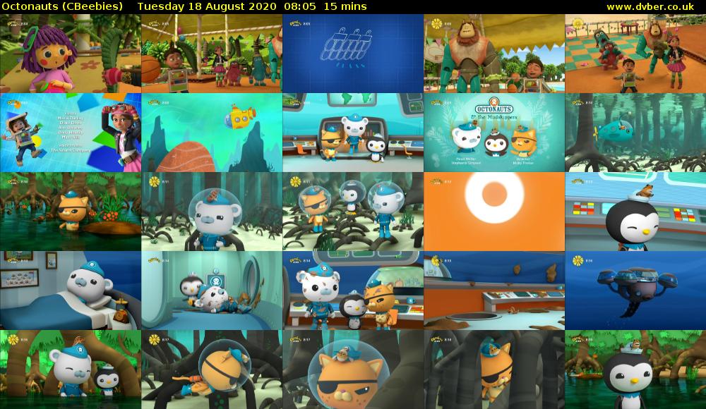 Octonauts (CBeebies) Tuesday 18 August 2020 08:05 - 08:20