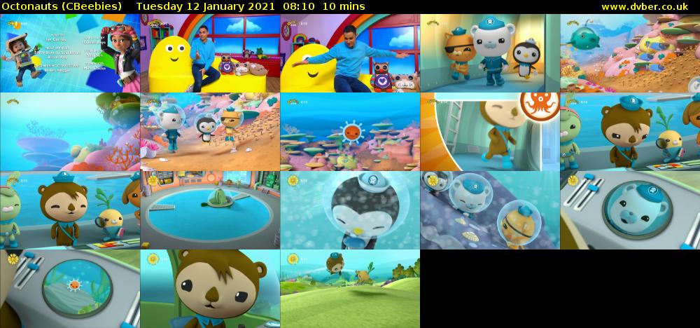 Octonauts (CBeebies) Tuesday 12 January 2021 08:10 - 08:20