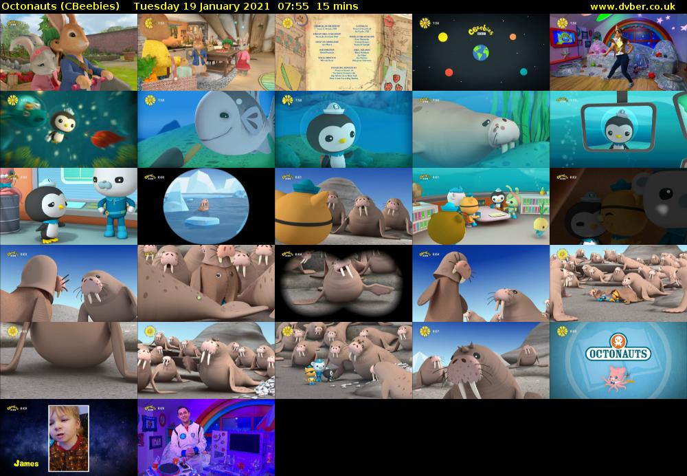 Octonauts (CBeebies) Tuesday 19 January 2021 07:55 - 08:10