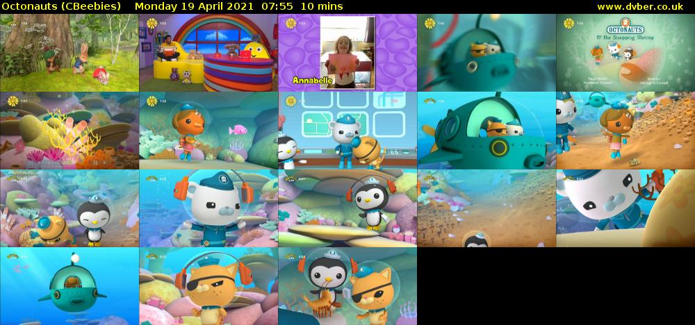 Octonauts (CBeebies) Monday 19 April 2021 07:55 - 08:05