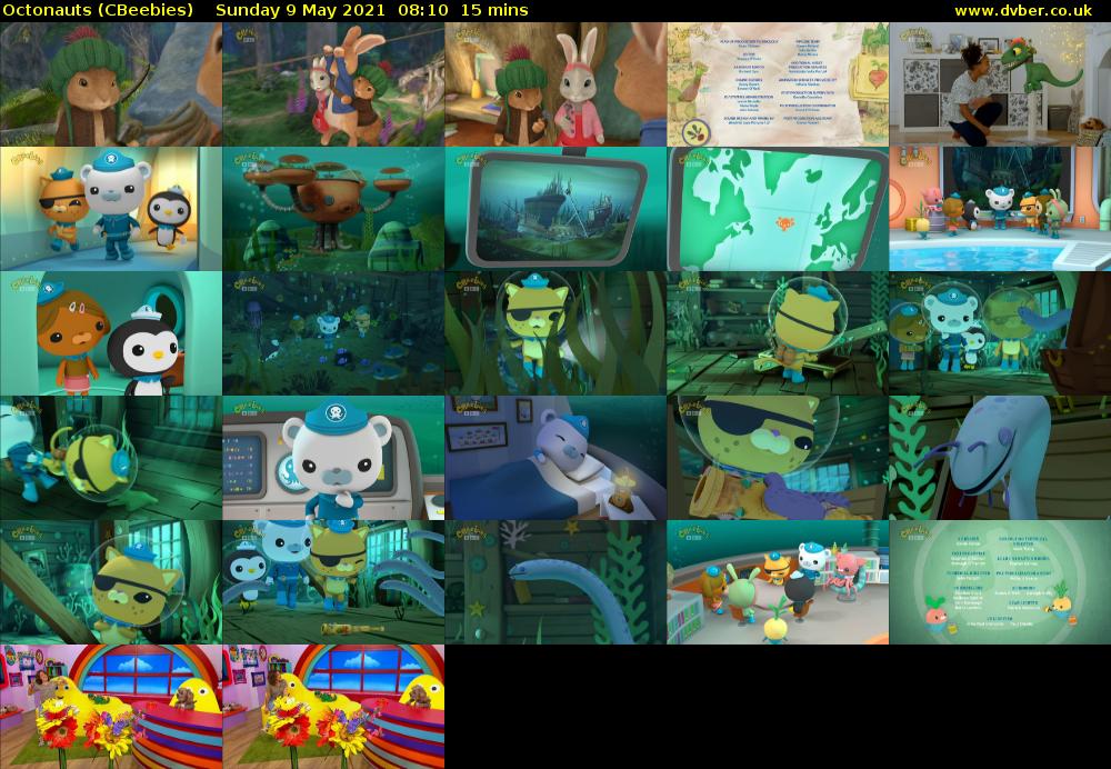 Octonauts (CBeebies) Sunday 9 May 2021 08:10 - 08:25