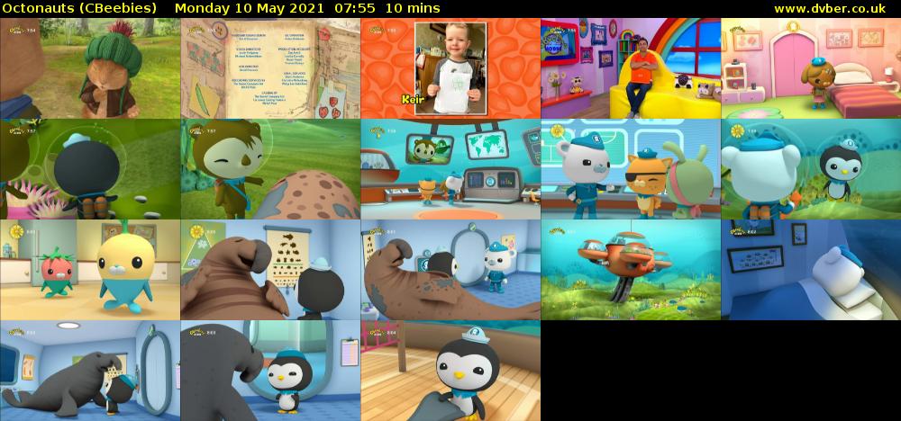 Octonauts (CBeebies) Monday 10 May 2021 07:55 - 08:05