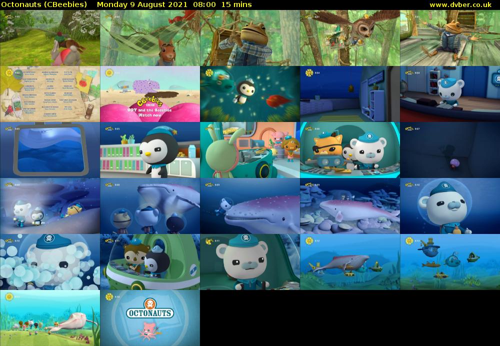 Octonauts (CBeebies) Monday 9 August 2021 08:00 - 08:15