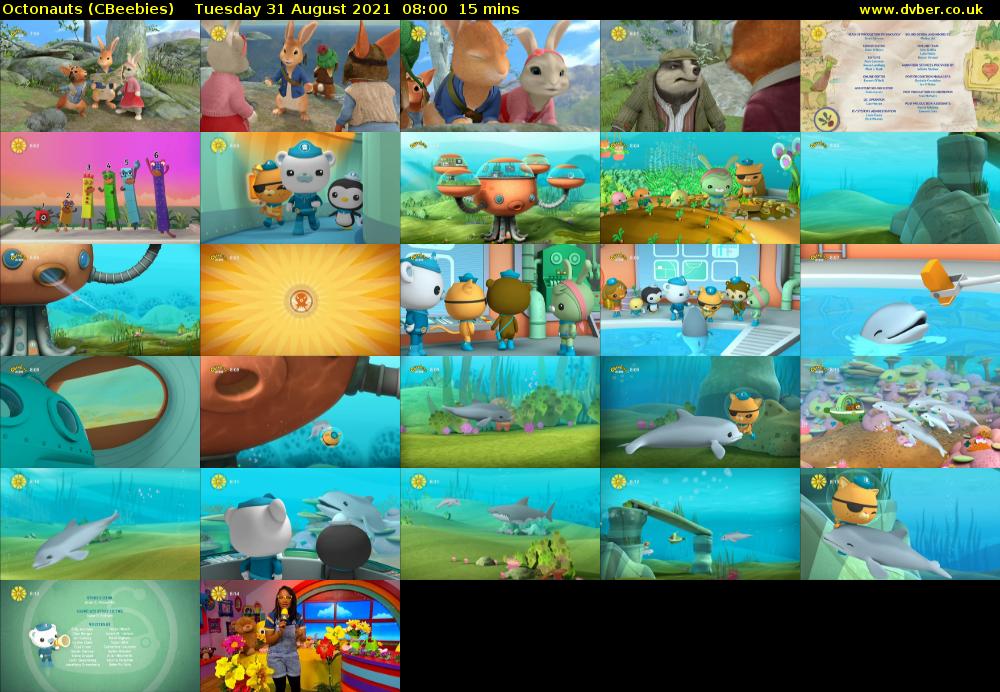 Octonauts (CBeebies) Tuesday 31 August 2021 08:00 - 08:15