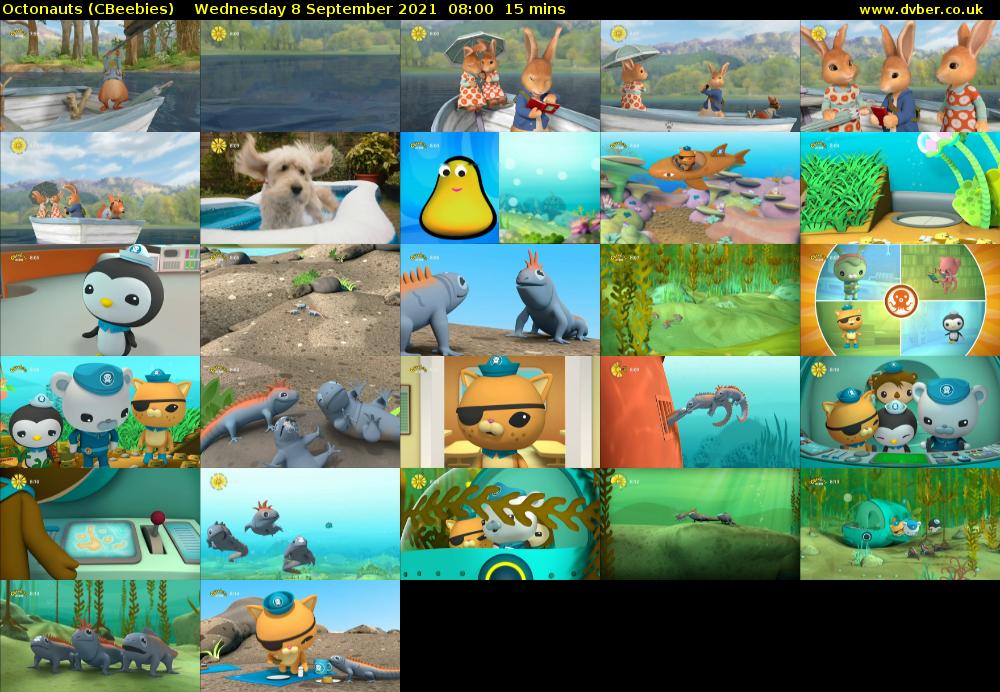 Octonauts (CBeebies) Wednesday 8 September 2021 08:00 - 08:15