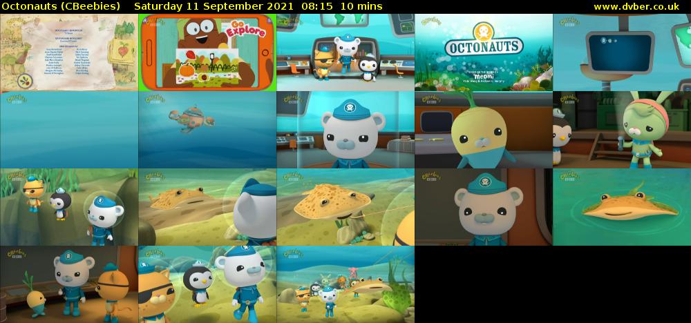 Octonauts (CBeebies) Saturday 11 September 2021 08:15 - 08:25