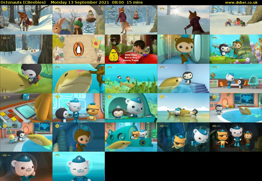 Octonauts (CBeebies) Monday 13 September 2021 08:00 - 08:15