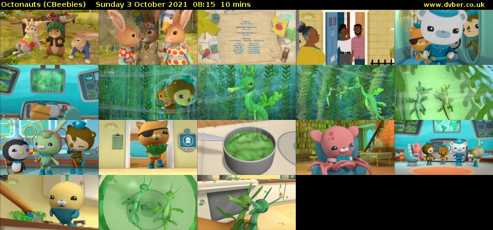 Octonauts (CBeebies) Sunday 3 October 2021 08:15 - 08:25
