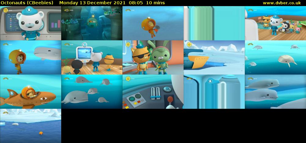 Octonauts (CBeebies) Monday 13 December 2021 08:05 - 08:15