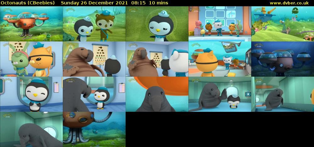Octonauts (CBeebies) Sunday 26 December 2021 08:15 - 08:25