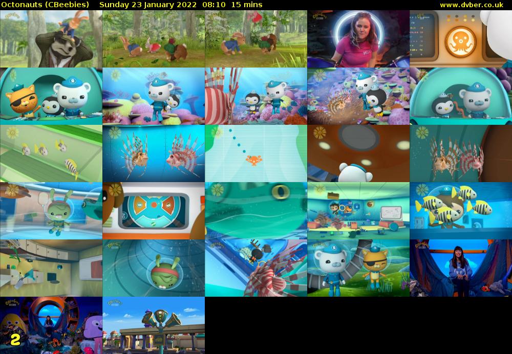 Octonauts (CBeebies) Sunday 23 January 2022 08:10 - 08:25
