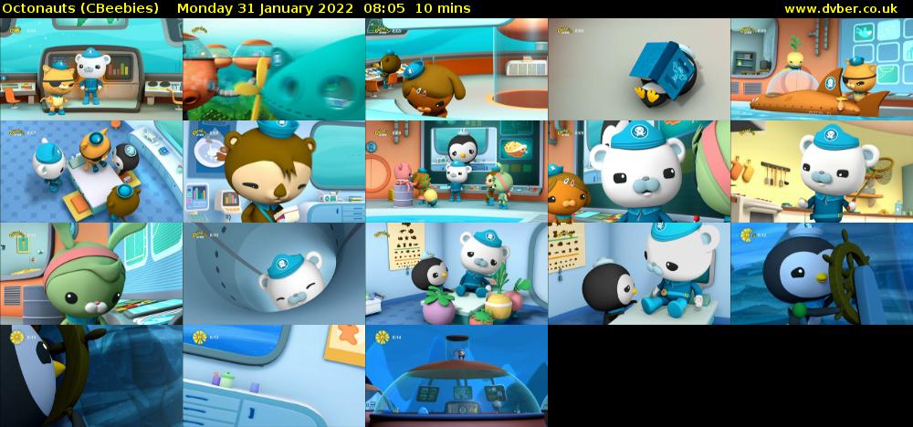 Octonauts (CBeebies) Monday 31 January 2022 08:05 - 08:15