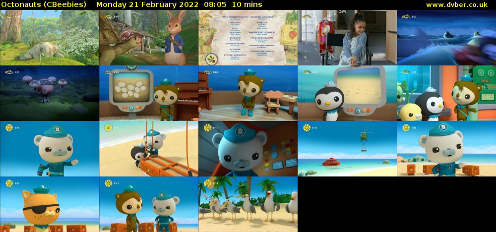 Octonauts (CBeebies) Monday 21 February 2022 08:05 - 08:15