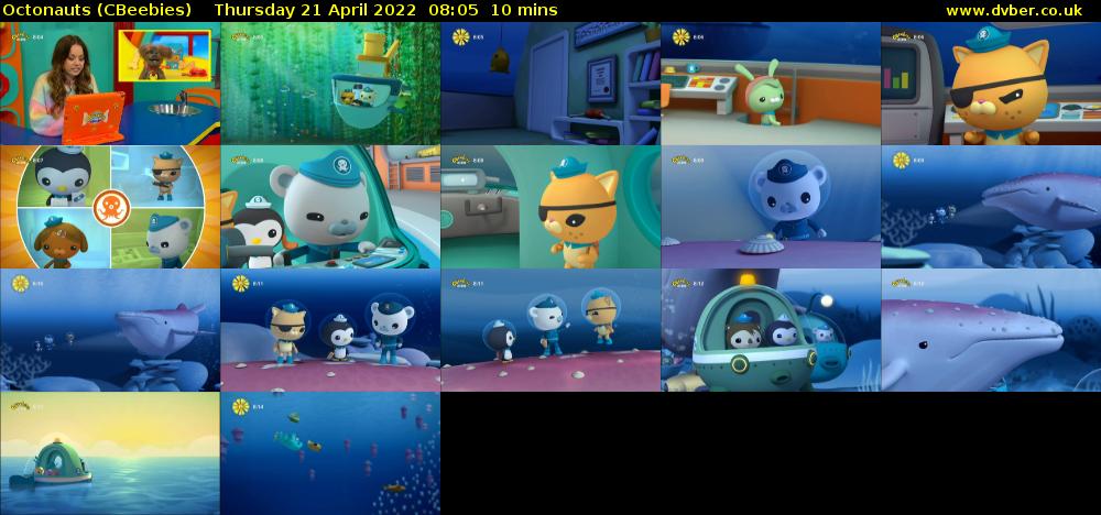 Octonauts (CBeebies) Thursday 21 April 2022 08:05 - 08:15