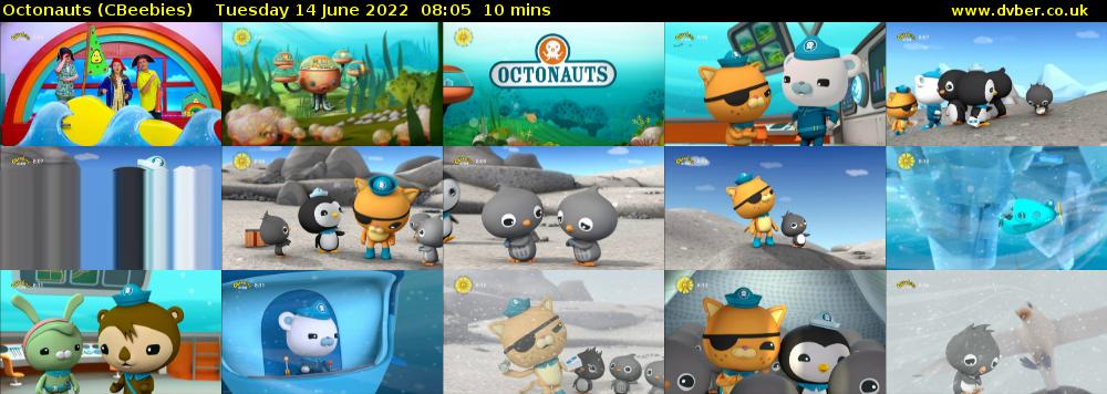 Octonauts (CBeebies) Tuesday 14 June 2022 08:05 - 08:15