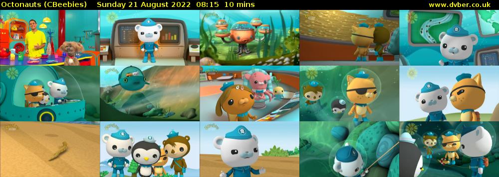 Octonauts (CBeebies) Sunday 21 August 2022 08:15 - 08:25
