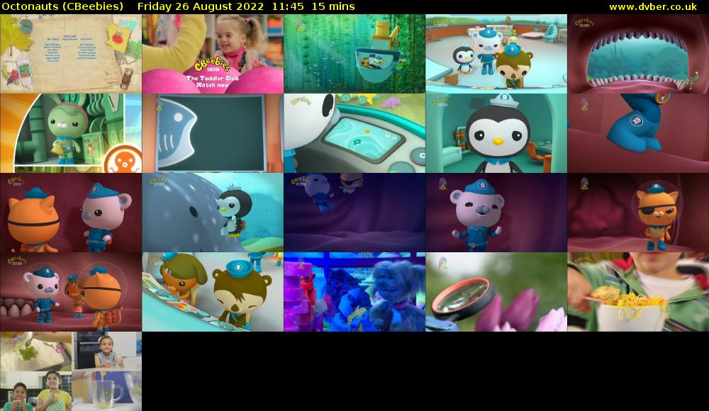Octonauts (CBeebies) Friday 26 August 2022 11:45 - 12:00