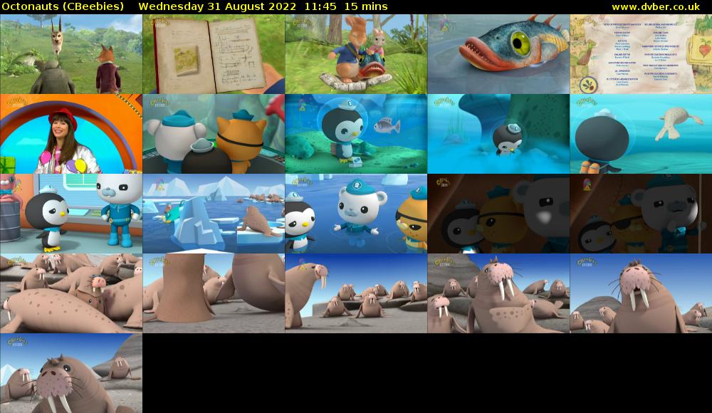 Octonauts (CBeebies) Wednesday 31 August 2022 11:45 - 12:00