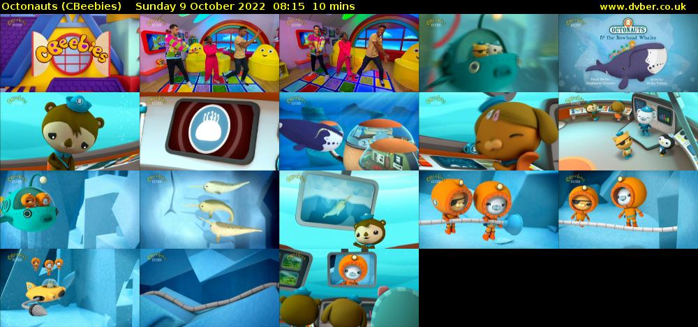 Octonauts (CBeebies) Sunday 9 October 2022 08:15 - 08:25