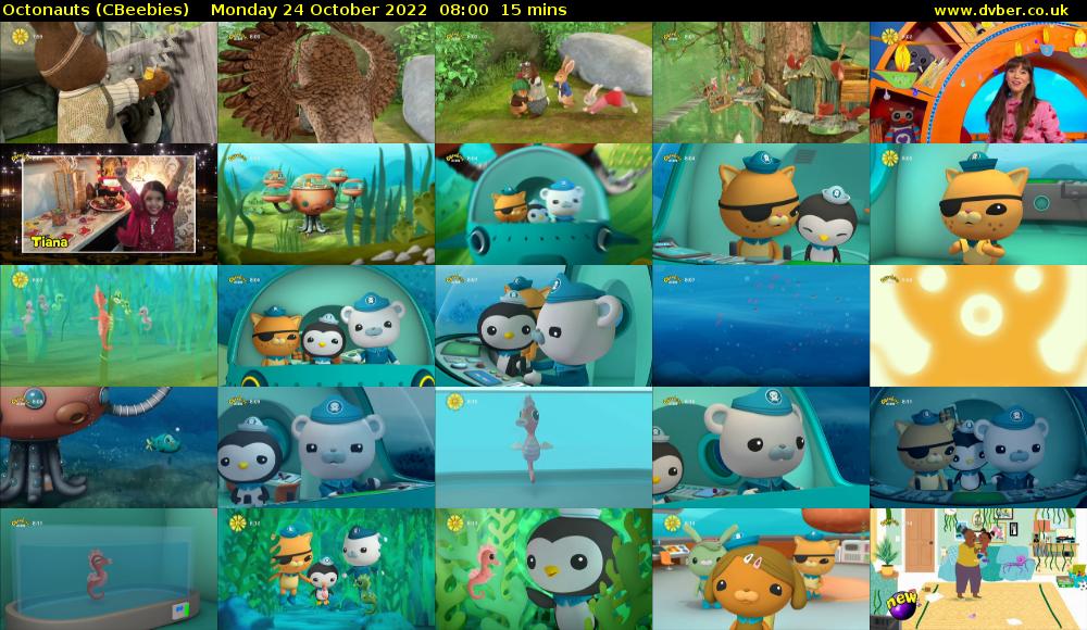 Octonauts (CBeebies) Monday 24 October 2022 08:00 - 08:15