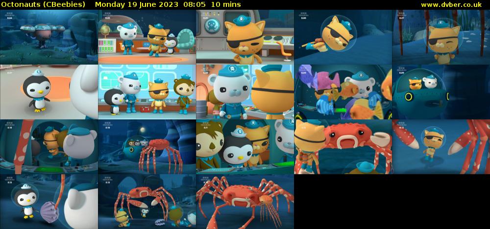 Octonauts (CBeebies) Monday 19 June 2023 08:05 - 08:15