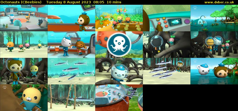 Octonauts (CBeebies) Tuesday 8 August 2023 08:05 - 08:15