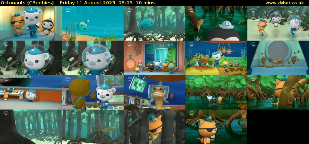 Octonauts (CBeebies) Friday 11 August 2023 08:05 - 08:15