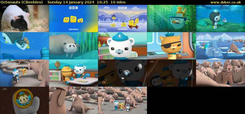 Octonauts (CBeebies) Sunday 14 January 2024 16:25 - 16:35