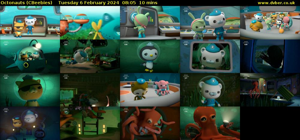 Octonauts (CBeebies) Tuesday 6 February 2024 08:05 - 08:15