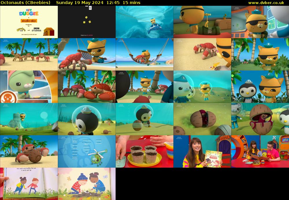 Octonauts (CBeebies) Sunday 19 May 2024 12:45 - 13:00