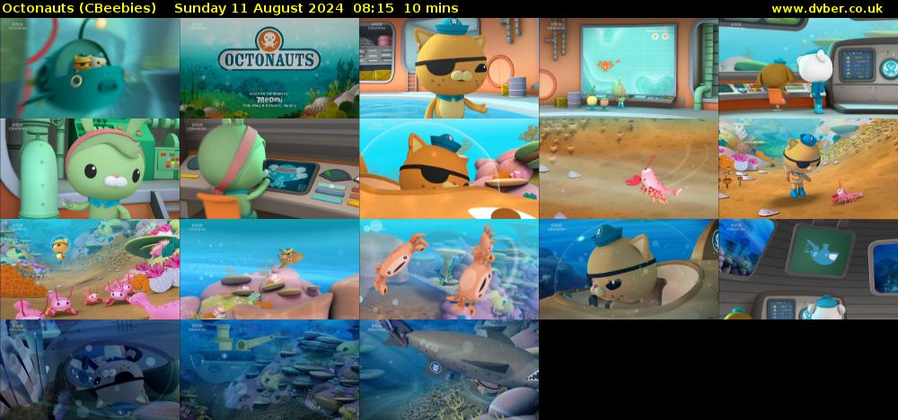 Octonauts (CBeebies) Sunday 11 August 2024 08:15 - 08:25