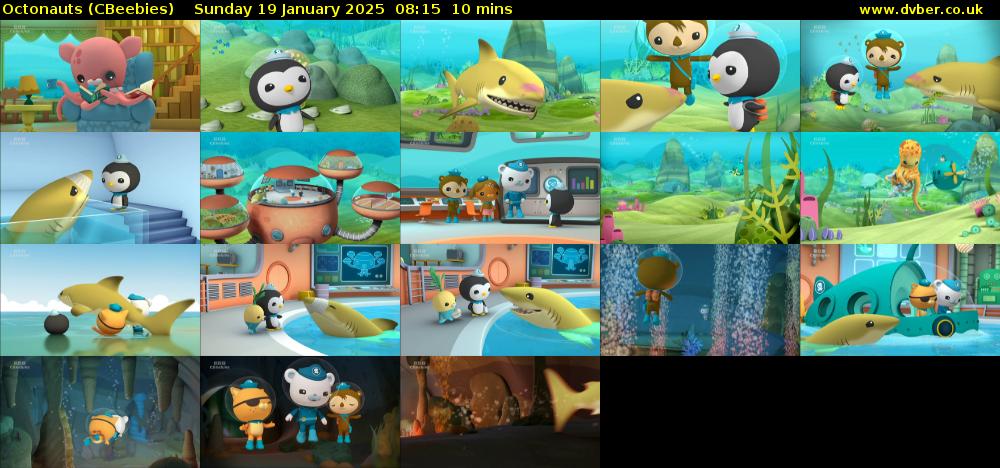 Octonauts (CBeebies) Sunday 19 January 2025 08:15 - 08:25