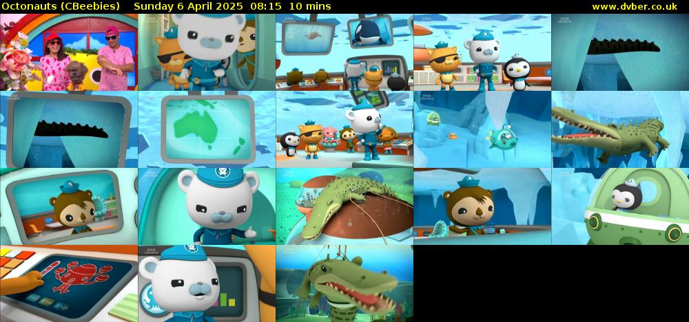 Octonauts (CBeebies) Sunday 6 April 2025 08:15 - 08:25