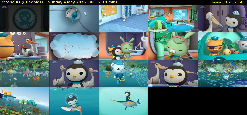 Octonauts (CBeebies) Sunday 4 May 2025 08:15 - 08:25