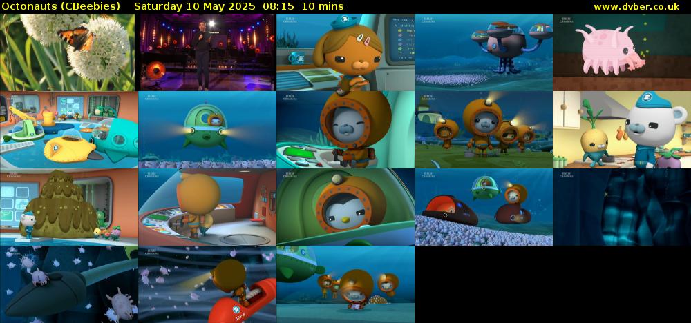 Octonauts (CBeebies) Saturday 10 May 2025 08:15 - 08:25